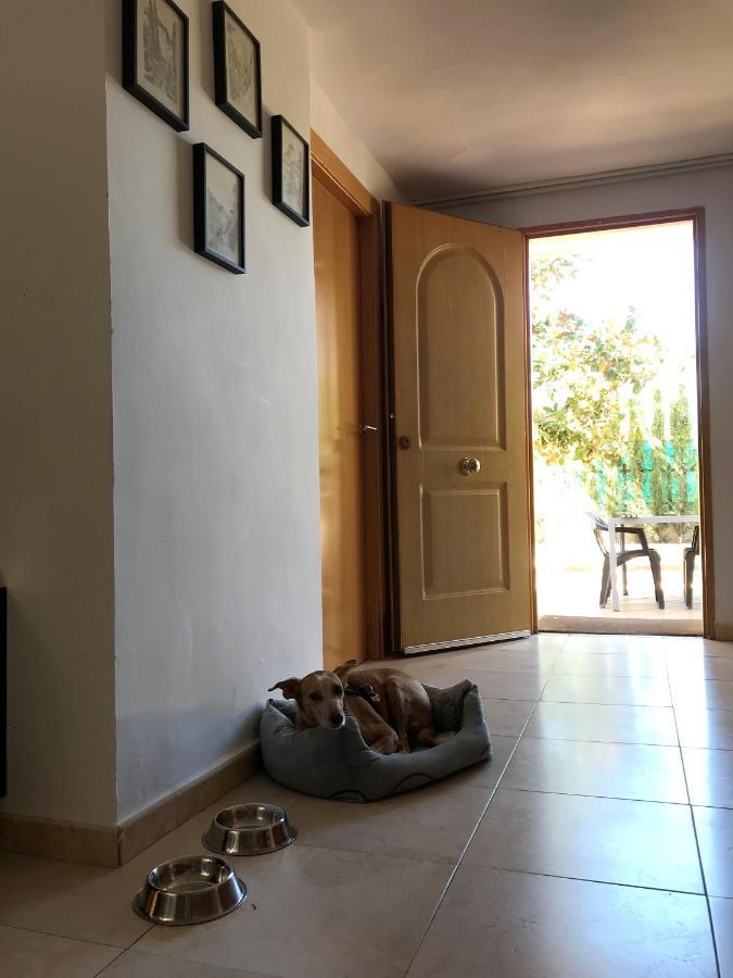 Holiday home Jazmin *